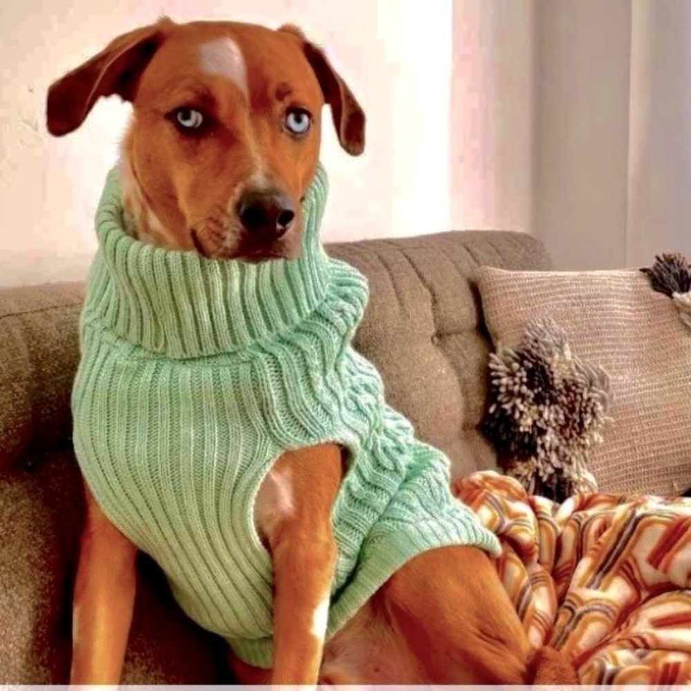 Boots & Barkley Pet Sweater Cable Knit Turtleneck Sweater Dogs Cats Size S - Picture 2 of 7